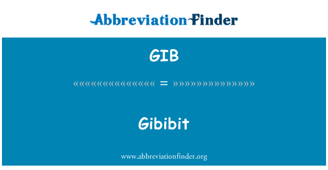 GIB: Gibibit