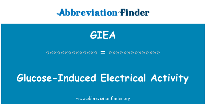 GIEA: גלוקוז-Induced פעילות חשמלית