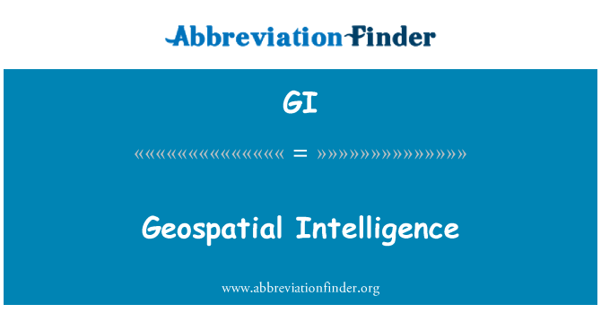 GI: Renseignement géospatial