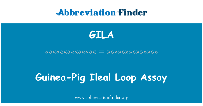 GILA: Ileal Loop merisigadega