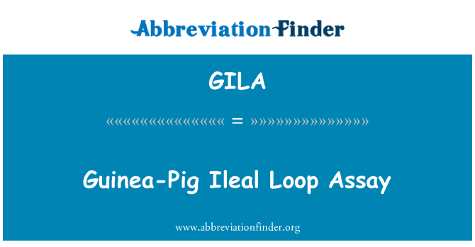 GILA: Guinea-Pig Ileal Loop Assay