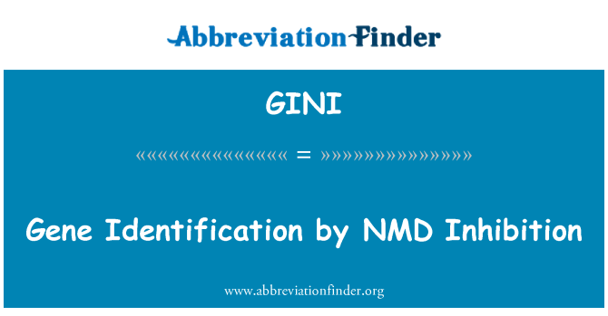 GINI: זיהוי הגן על ידי עיכוב NMD