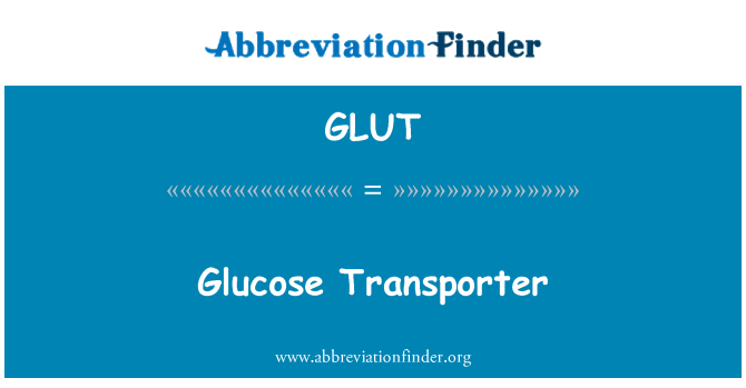 GLUT: Glukożju trasportatur