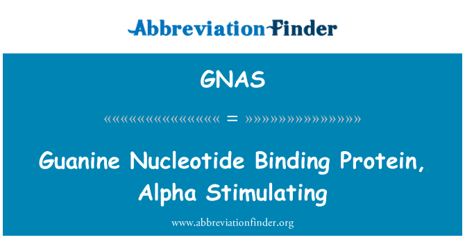 GNAS: Guanine Nucléotides Liaison pwoteyin, Alpha eksitan