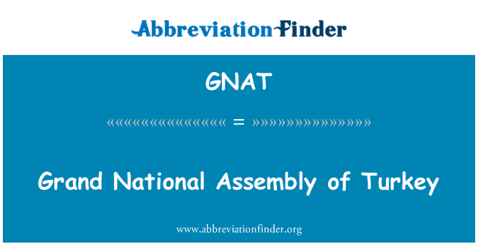 GNAT: Velké národní shromáždění Turecka
