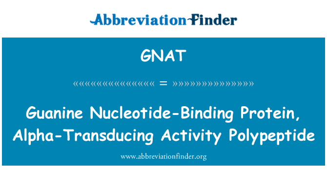 GNAT: Guanin nukleotidů vazebných proteinů, polypeptid aktivita alfa Transducing