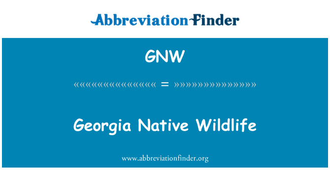 GNW: 喬治亞本土野生動物