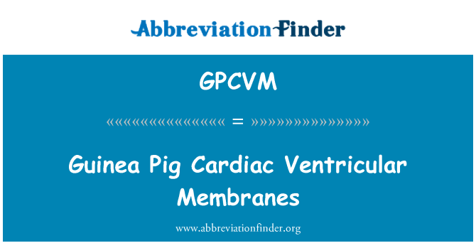 GPCVM: 離體豚鼠心臟心室膜