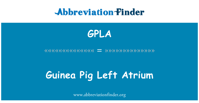 GPLA: Morče levé síně