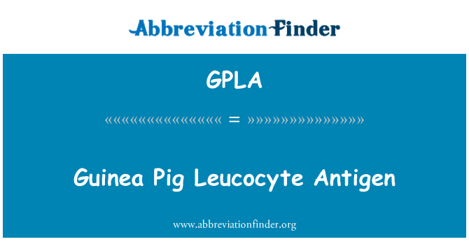 GPLA: Morče leukocytů Antigen