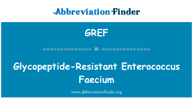GREF: Reżistenti glikopeptid Enterococcus Faecium