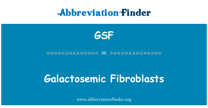 GSF: Galactosemic фибробласти