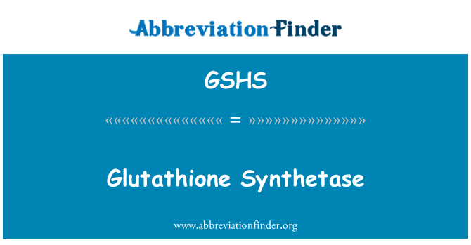 GSHS: Glutatiooni Synthetase