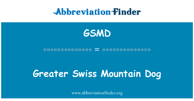 GSMD: Större Swiss Mountain Dog