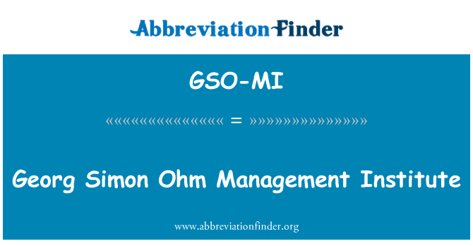 GSO-MI: Georg Simon Ohm Management Institute