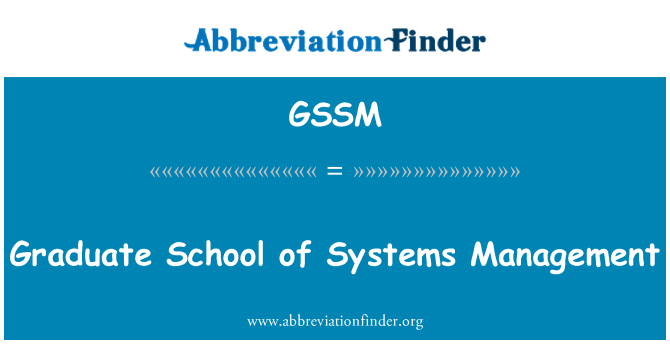 GSSM: בית הספר למוסמכים של ניהול מערכות