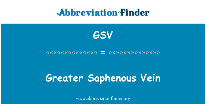 GSV: וריד Saphenous רבתי