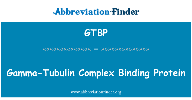 GTBP: Gamma-Tubulin komplekset bindende Protein