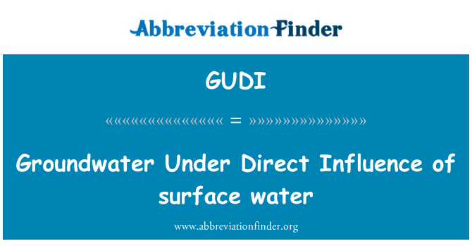 GUDI: 表面水的直接影響下地下水