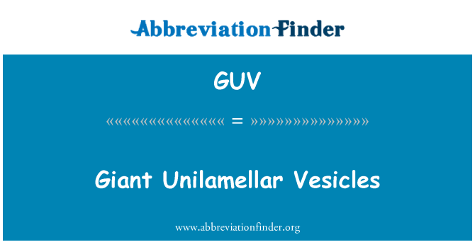 GUV: Giant Unilamellar nfafet