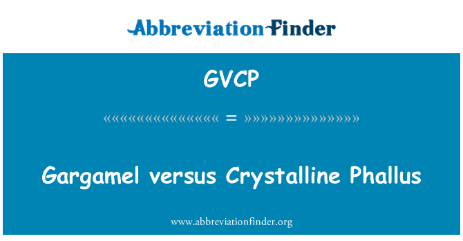 GVCP: Gargamel versus Phallus kristallina