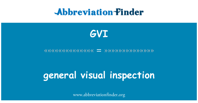 GVI: generell visuell inspeksjon