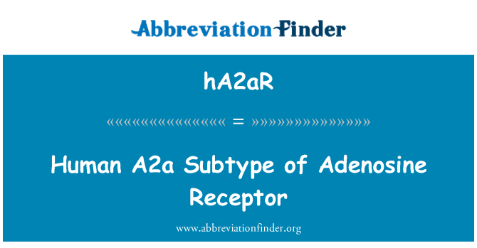 hA2aR: İnsan A2a adenosin reseptör alt türü