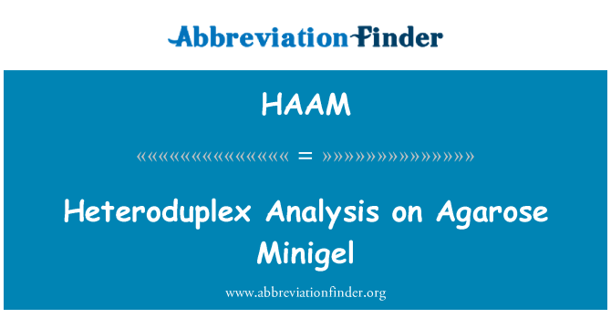 HAAM: Anàlisi de Heteroduplex a Minigel d'agarosa