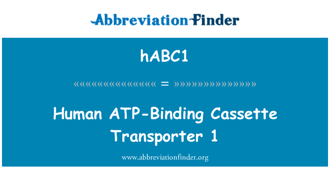 hABC1: Humano ATP-Binding Cassette Transporter 1