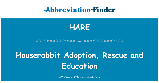 HARE: L-adozzjoni ta ' l-Houserabbit, tas-salvataġġ u l-edukazzjoni