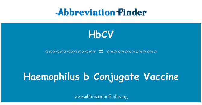 HbCV: Haemophilus b conjugar vacuna