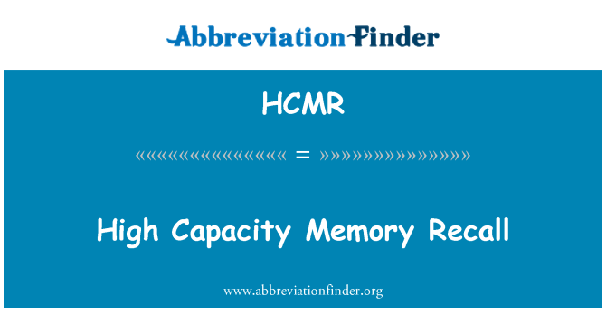 HCMR: 高容量记忆