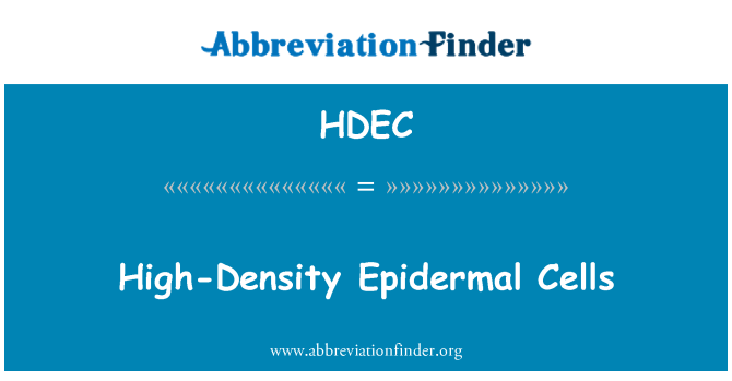 HDEC: Cellules Épidermiques à
