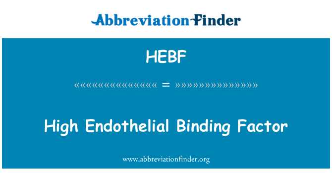 HEBF: Hohe Endothelial Binding Factor