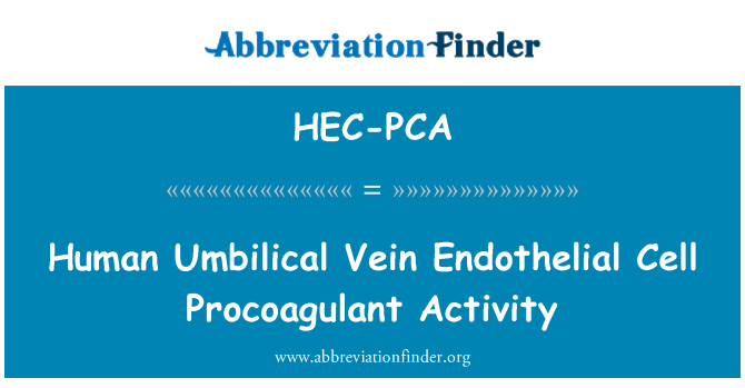 HEC-PCA: Aktiviti Procoagulant Endothelial sel urat Umbilical manusia