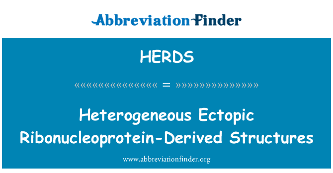 HERDS: Heterogenicznych pozamacicznej struktur pochodzących z rybonukleoproteinowych