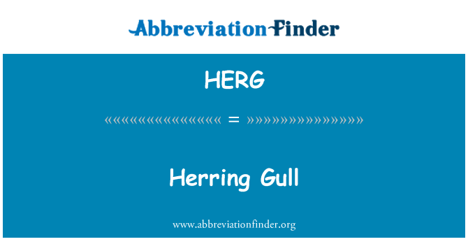 HERG: Herring Gull