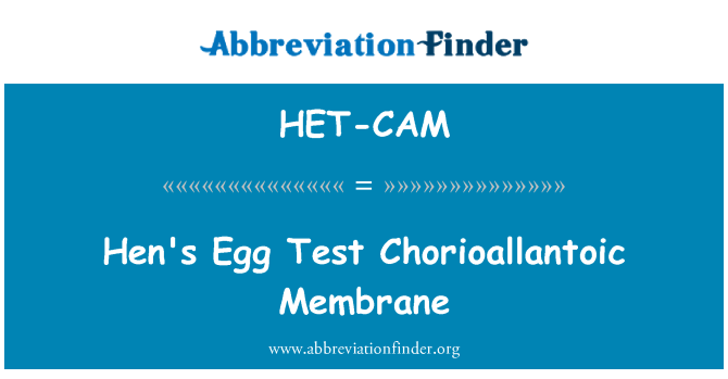 HET-CAM: Куряче яйце тест Chorioallantoic мембрани