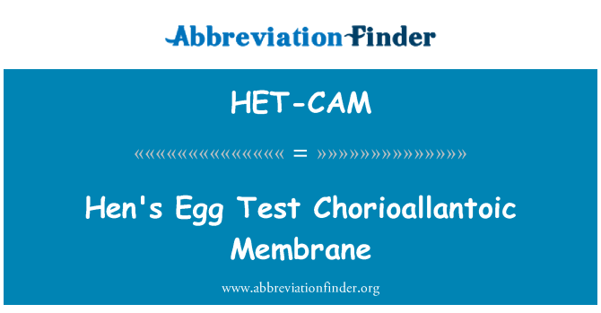 HET-CAM: मुर्गी का अंडा टेस्ट Chorioallantoic झिल्ली