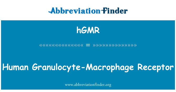 hGMR: Récepteur de Granulocyte-Macrophage humain