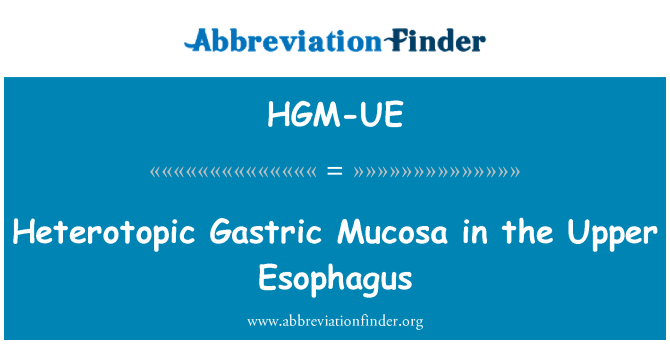 HGM-UE: Heterotopic Gastric Mucosa in the Upper Esophagus