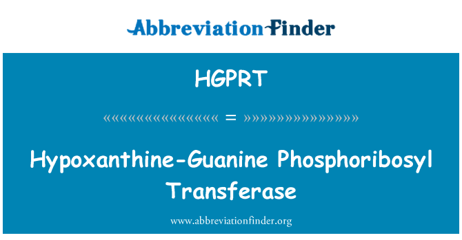 HGPRT: Hypoxanthine guanin Phosphoribosyl transferázy
