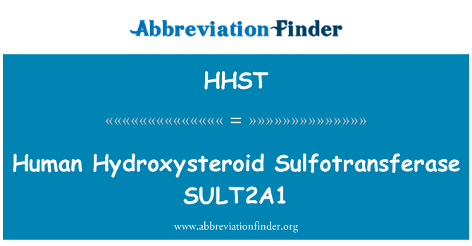 HHST: Sulfotransferase SULT2A1 Hydroxysteroid אנושי
