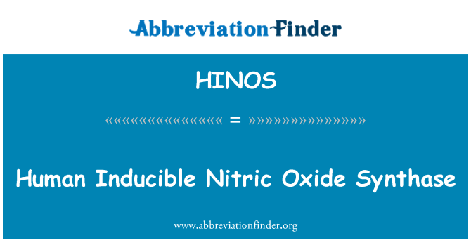 HINOS: Lidské inducibilní oxid dusnatý syntázy