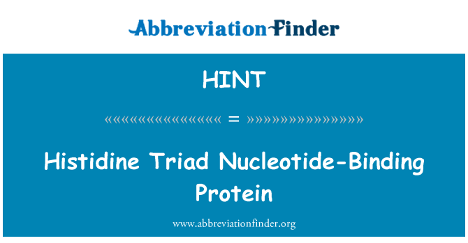 HINT: Histidin Triad nukleotid-bindande Protein