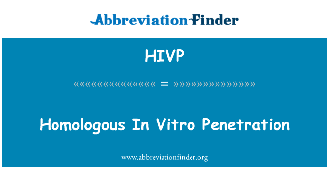 HIVP: Homolognih v in Vitro prodor