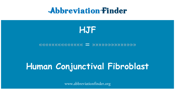 HJF: Ludzkich fibroblastów spojówek