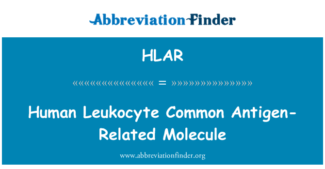 HLAR: Human Leukocyte Common Antigen-Related Molecule