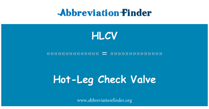 HLCV: Hot Leg zpětný ventil