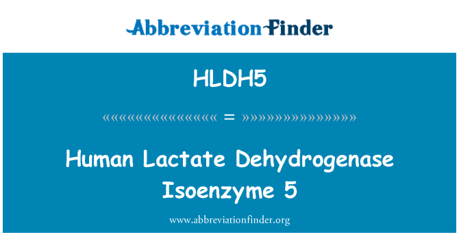 HLDH5: Isoenzyme humaine Lactodéshydrogénase 5